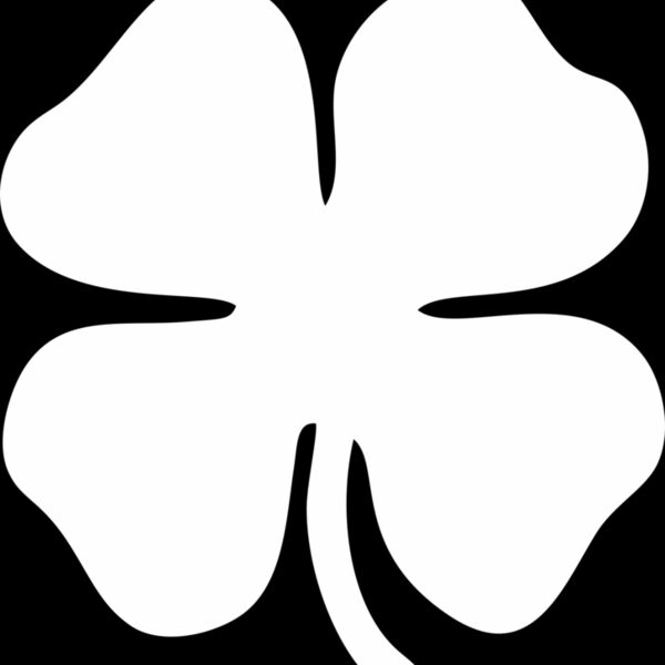 Shamrock White Thumbnail