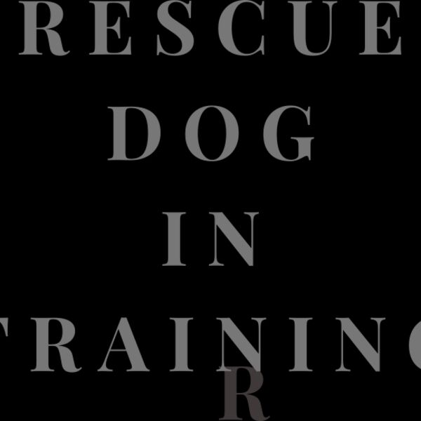 Rescue Dog In Training  Thumbnail