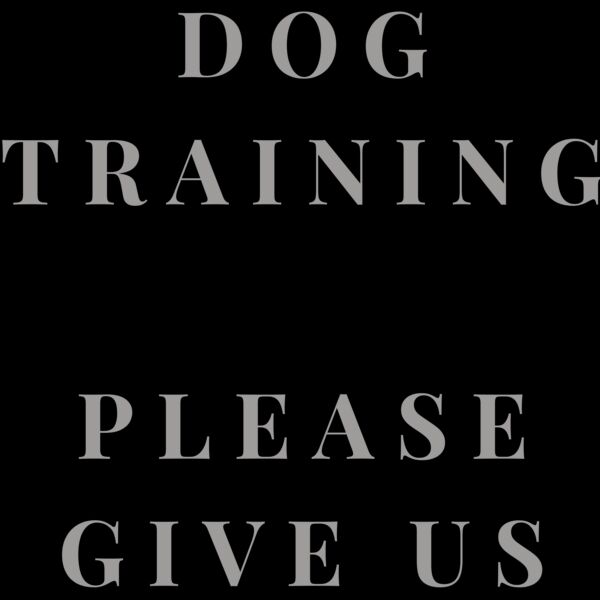 Rescue Dog In Training 2 Thumbnail