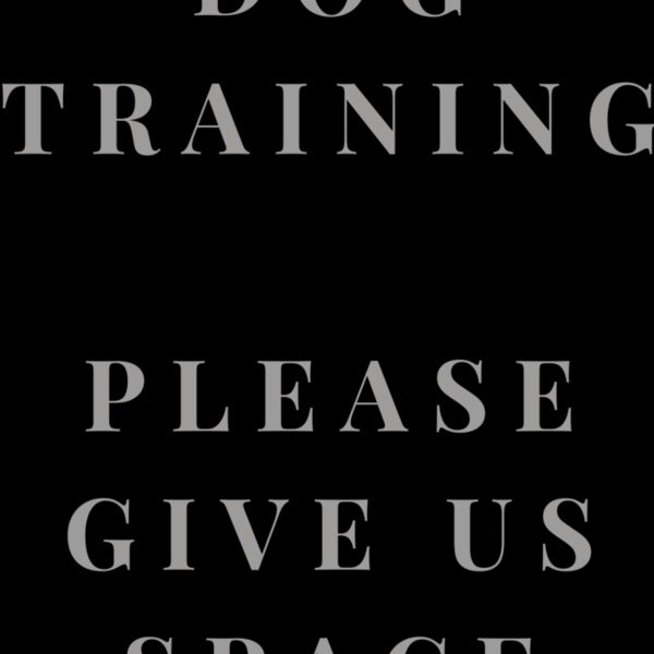 Rescue Dog In Training 3 Thumbnail