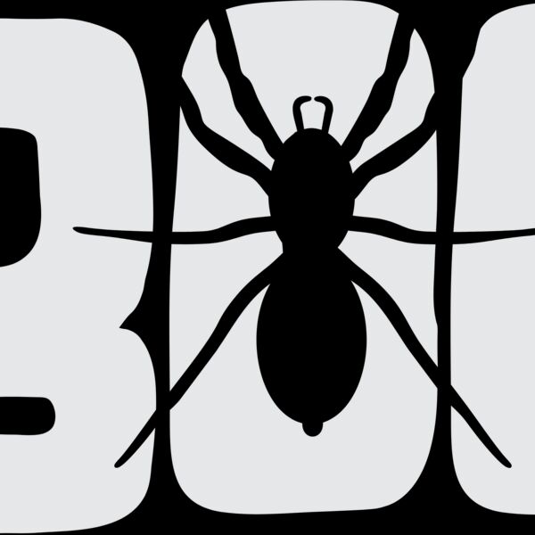 Boo Spider Thumbnail