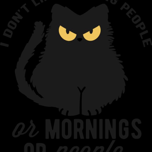 I dont like morning people Thumbnail