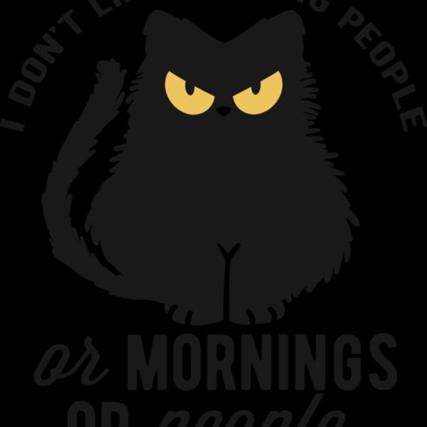 I dont like morning people Thumbnail