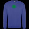 Pro sweatshirt Thumbnail