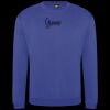 Pro sweatshirt Thumbnail