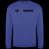 Pro sweatshirt Thumbnail
