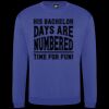 Pro sweatshirt Thumbnail