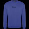Pro sweatshirt Thumbnail