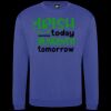 Pro sweatshirt Thumbnail